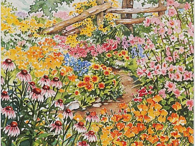 Northeastern Wildflower Mix (1/4 Lb)