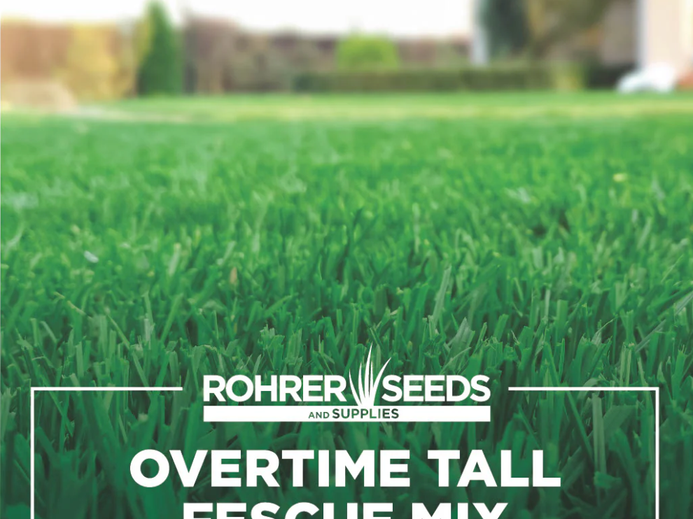 Overtime Tall Fescue Blend (3 Lb)