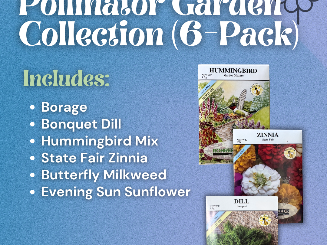Pollinator Garden Collection (6 Pkt)