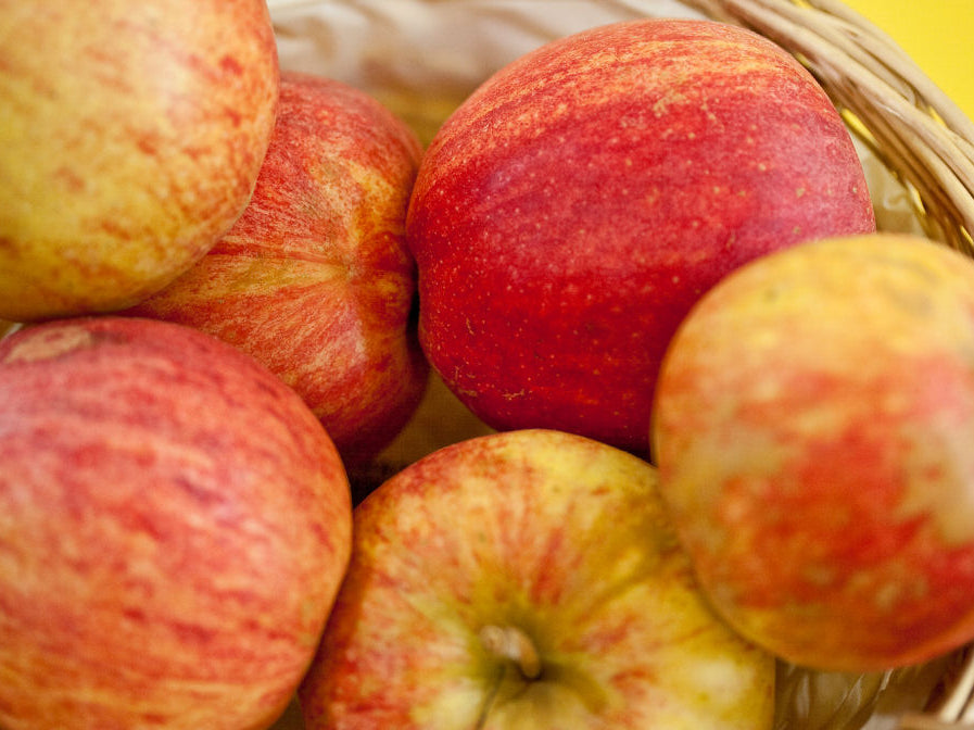 Gala Apple (Malus 'Fruit Gala') - 5 gallon 60"