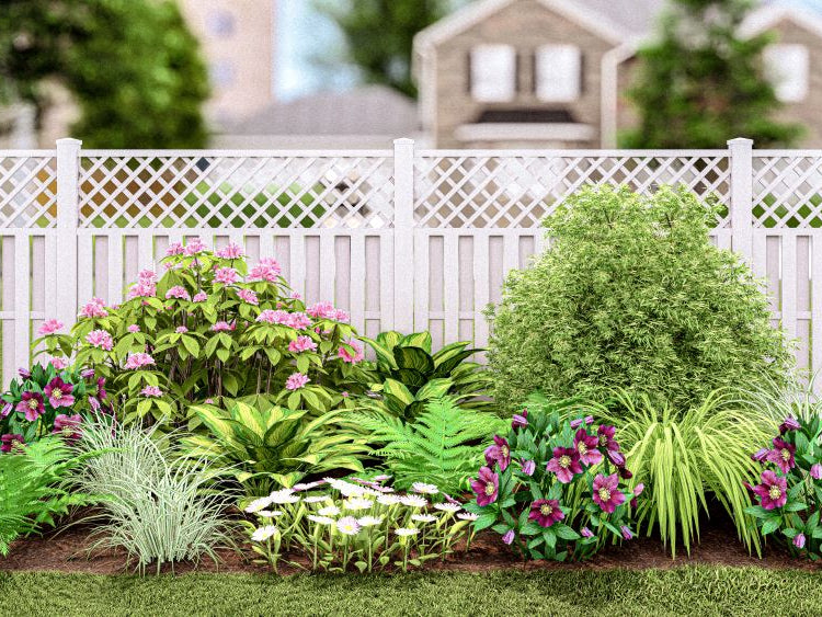 Plants That Work for a Shade Garden (PLANTS THAT WORK SHADE GARDEN) -