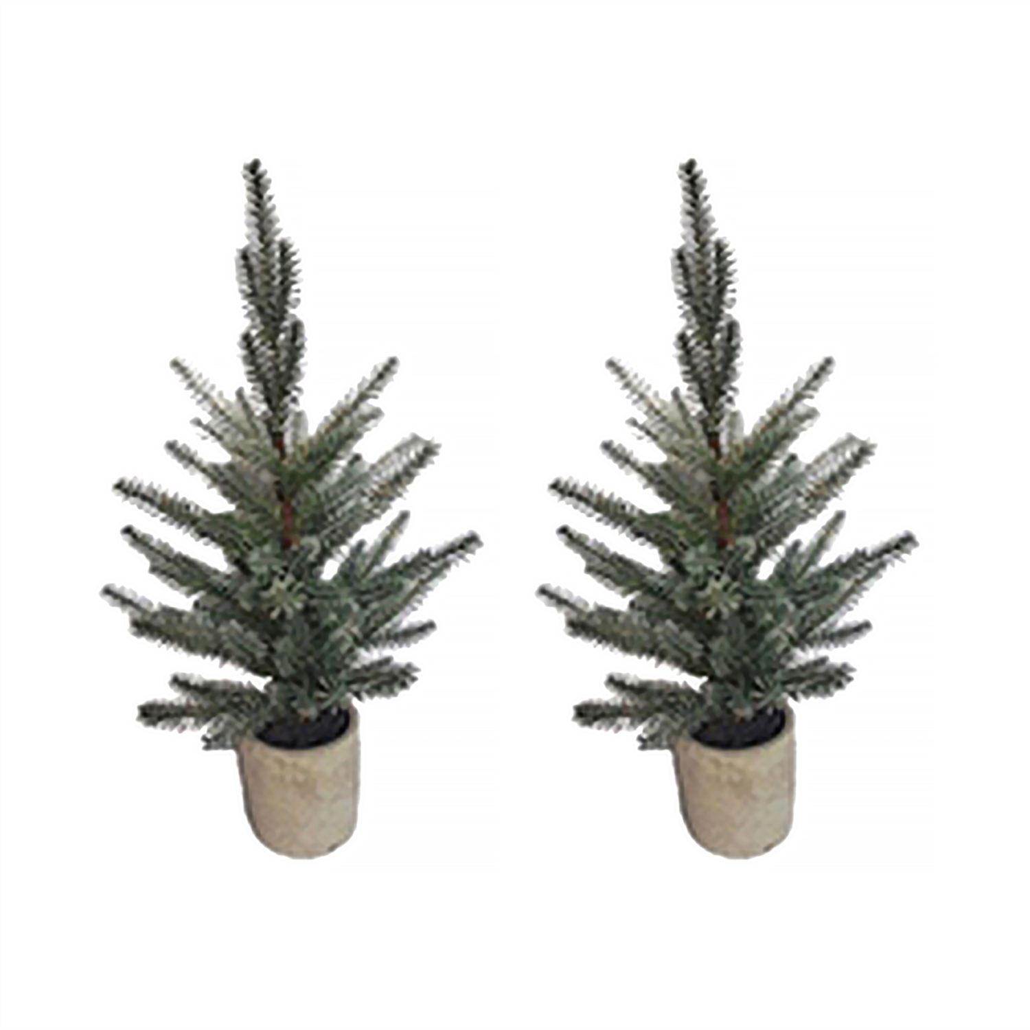 Pine Tree in Plastic Pot (Set of 2)