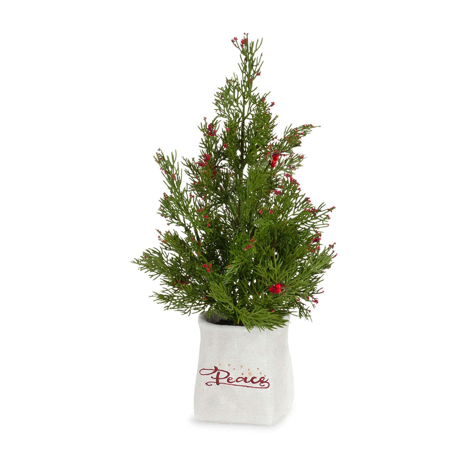 Mini Pine Tree with Berries in Ceramic Pot (Set of 2)