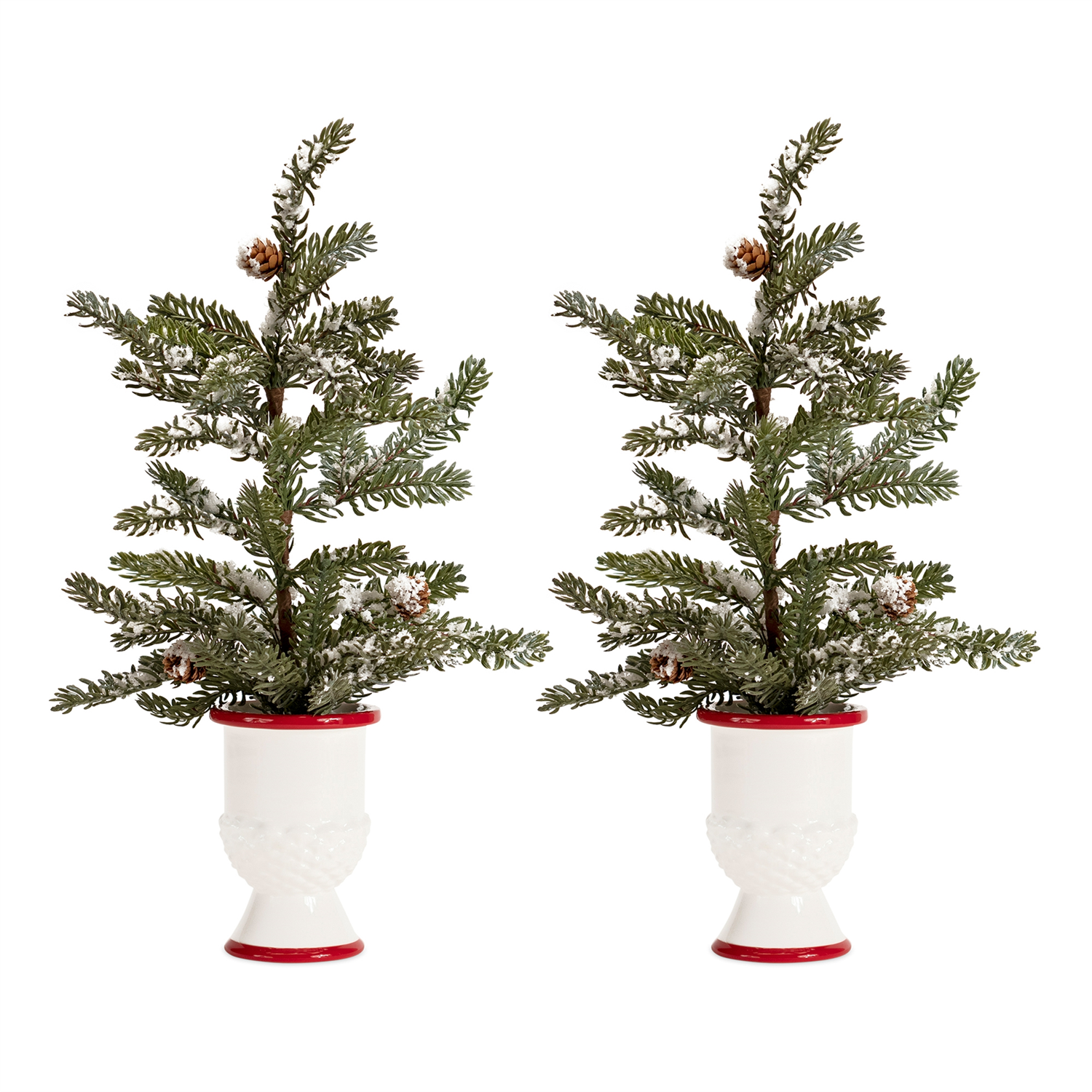 Mini Pine Tree with Ceramic Pot (Set of 2)