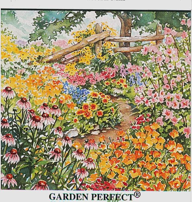 All Perennial Wildflower Mix (1/4 Lb)