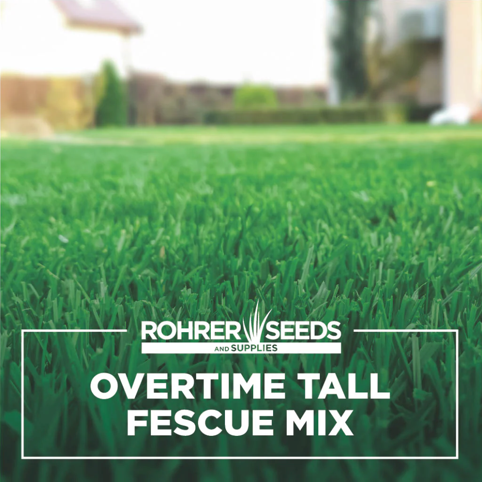 Overtime Tall Fescue Blend (3 Lb)