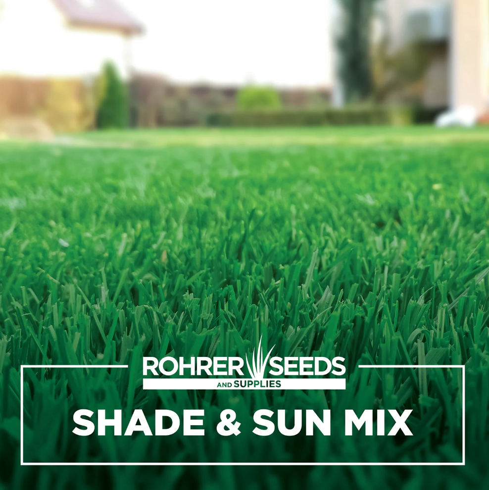 Rohrers Shade/Sun Lawn Mix (3 Lb)