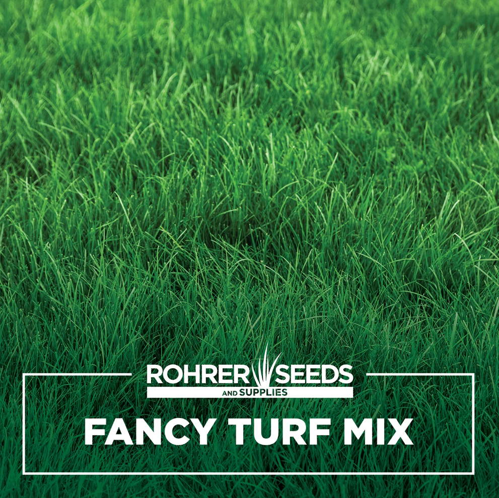 Rohrers Fancy Lawn Mix (3 Lb)