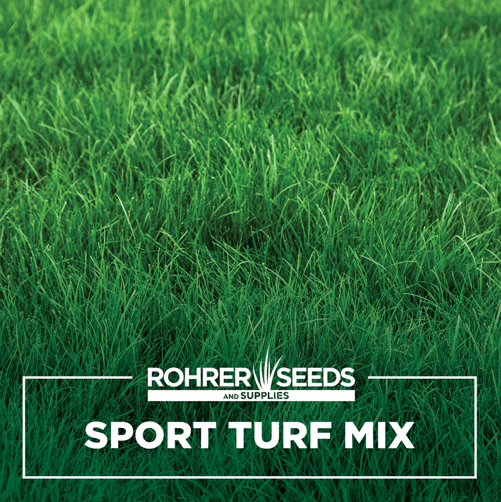 Rohrers Sport Turf Grass Blend (3 Lb)
