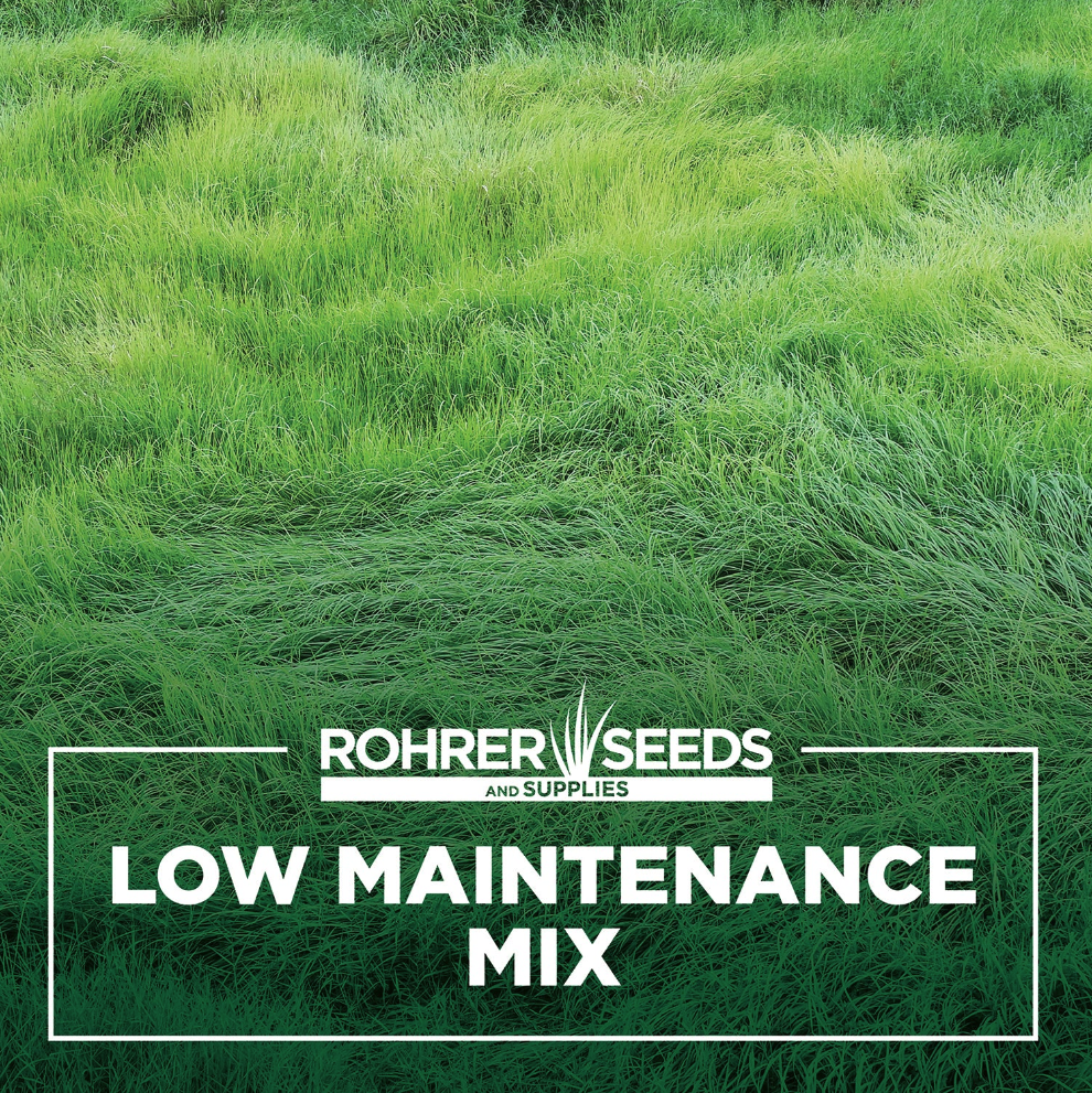 Rohrers Low Maintenance Mix (3 Lb)